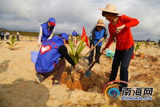 万宁开展绿化宝岛春季千人植树活动(万宁市委宣传部供图)